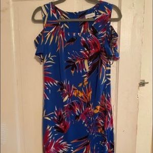 Calvin Klein blue floral dress size 6